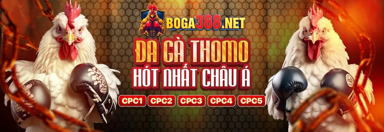 Tin tức 566win login